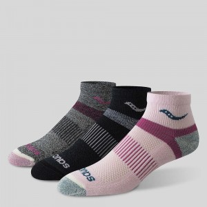 Saucony Inferno Merino Lana Blend Quarter 3-Pack Sock Rosas Colombia | 5194-DXHOV