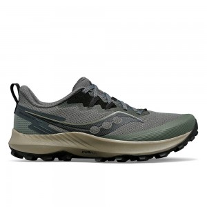 Saucony Peregrine 14 Bough Shadow Colombia | 3072-KCDLW