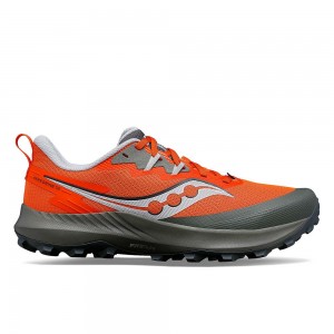 Saucony Peregrine 14 Pepper Bough Colombia | 8952-EIYAL