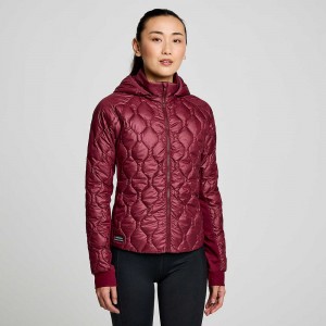 Saucony Solstice Oysterpuff Jacket Sundown Colombia | 4391-IKFGJ