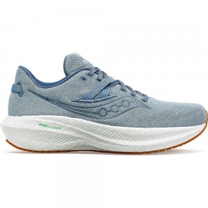 Saucony Triumph Rfg Murk Colombia | 4739-WAYGD