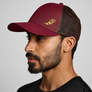 Saucony Trucker Hat Sundown Graphic Colombia | 0478-XNSIP