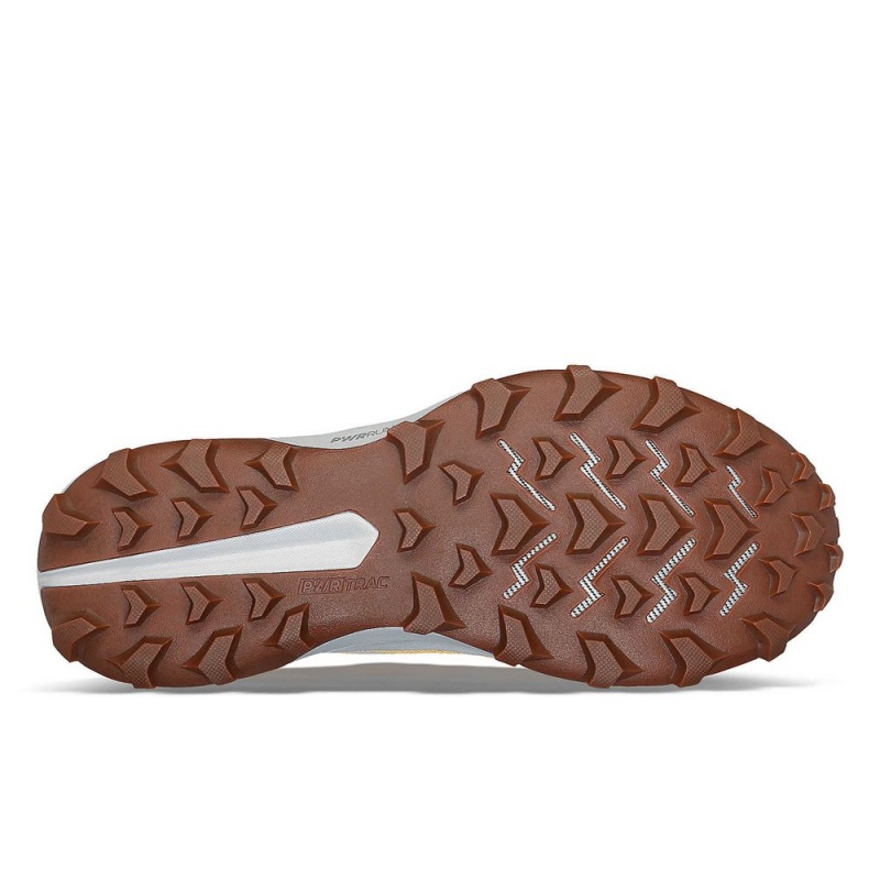 Saucony Peregrine 14 Flax Clove Colombia | 0631-CUQDI